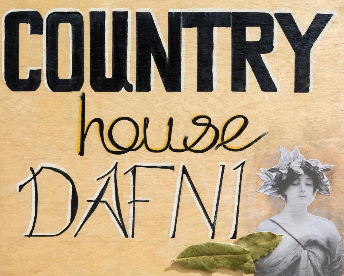 Country House Dafni Vasilikí المظهر الخارجي الصورة